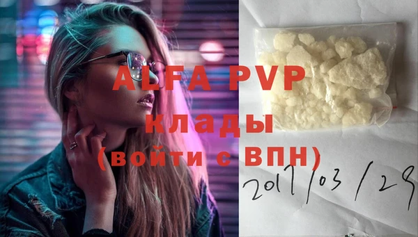 стаф Абаза