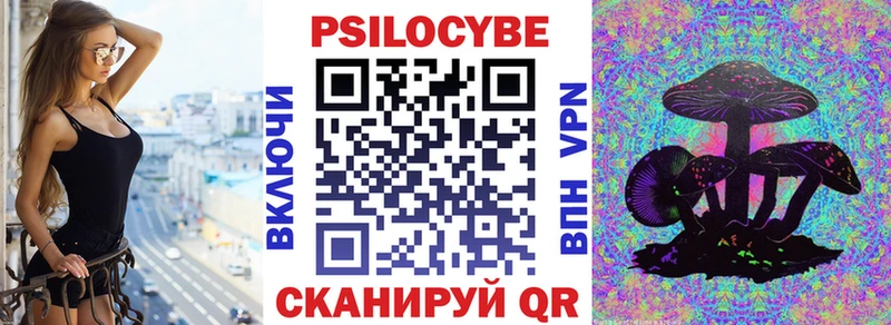 как найти наркотики  это наркотические препараты  Псилоцибиновые грибы мухоморы  Суздаль 